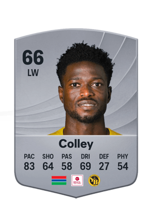 Colley - 66 - Common
