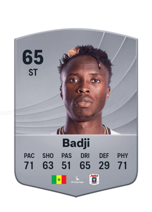 Badji - 65 - Common
