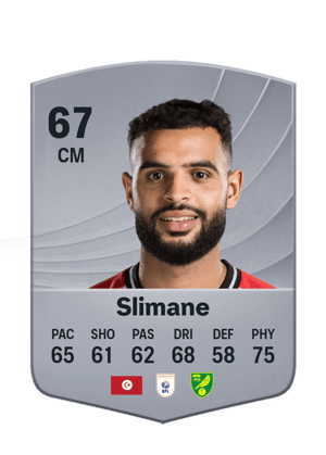 Slimane - 67 - Common