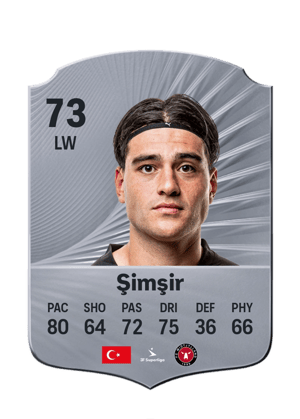 Şimşir - 73 - Rare