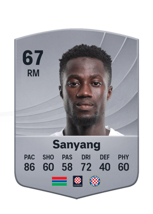 Sanyang - 67 - Common