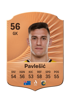 Pavlešić - 56 - Rare