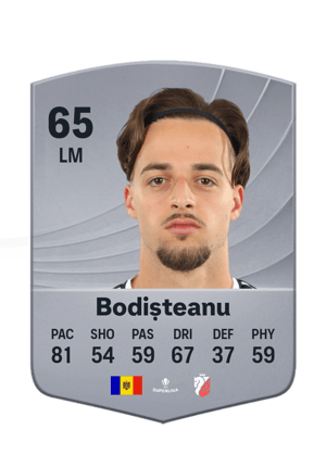 Bodișteanu - 65 - Common
