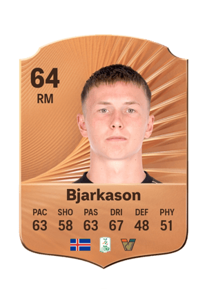 Bjarkason - 64 - Rare