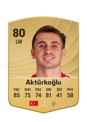 Aktürkoğlu - 80 - Common