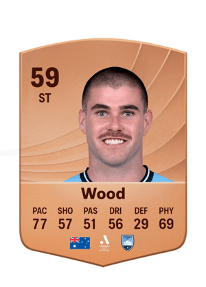 Wood - 59 - Common