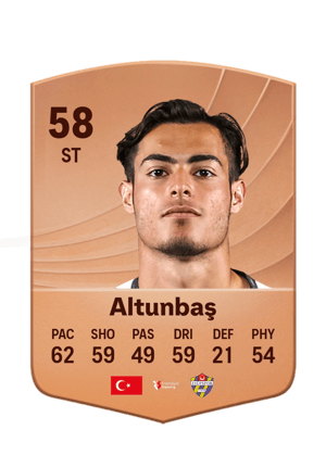 Altunbaş - 58 - Common