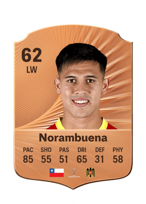 Norambuena - 62 - Rare