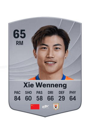 Xie Wenneng - 65 - Common