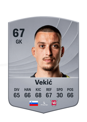 Vekić - 67 - Common