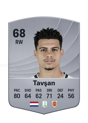 Tavşan - 68 - Common