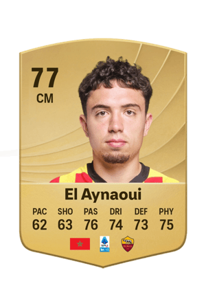 El Aynaoui - 77 - Common