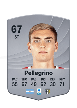 Pellegrino - 67 - Common