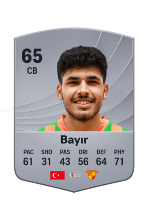 Bayır - 65 - Common