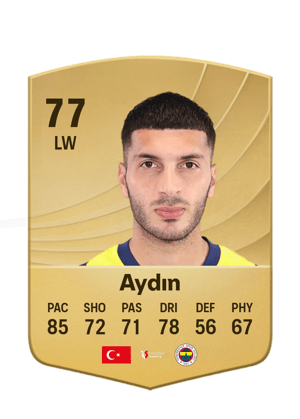 Aydın - 77 - Common