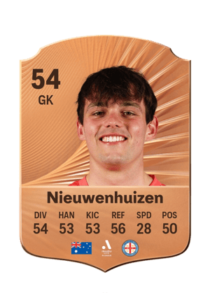 Nieuwenhuizen - 54 - Rare