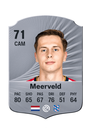 Meerveld - 71 - Rare