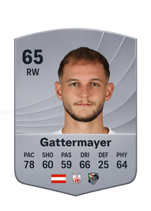 Gattermayer - 65 - Common