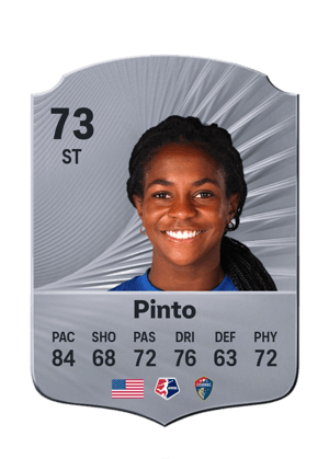 Pinto - 73 - Rare