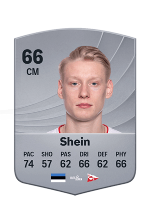 Shein - 66 - Common