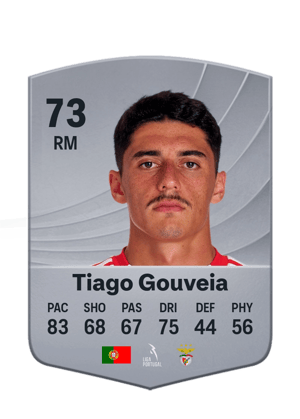 Tiago Gouveia - 73 - Common
