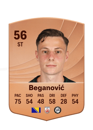 Beganović - 56 - Common