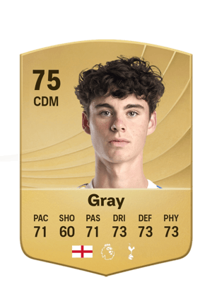 Gray - 75 - Common