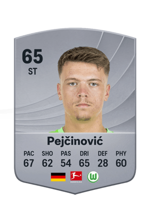Pejčinović - 65 - Common