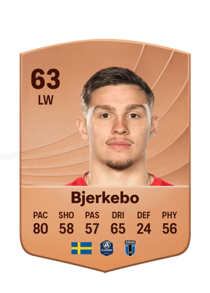Bjerkebo - 63 - Common