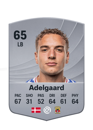 Adelgaard - 65 - Common