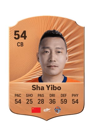 Sha Yibo - 54 - Rare