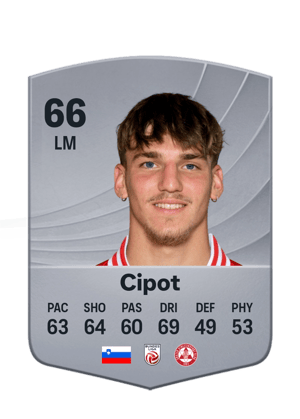 Cipot - 66 - Common
