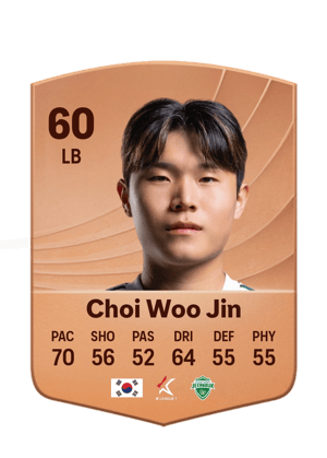 Choi Woo Jin - 60 - Common
