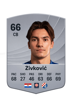 Živković - 66 - Common