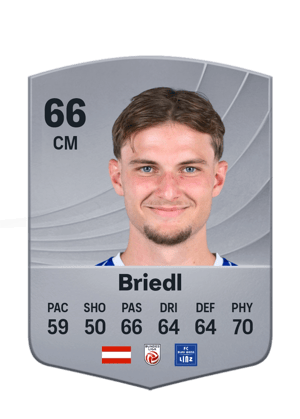 Briedl - 66 - Common