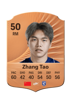 Zhang Tao - 50 - Rare