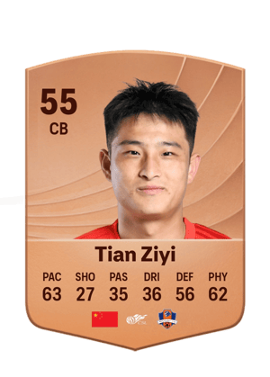 Tian Ziyi - 55 - Common
