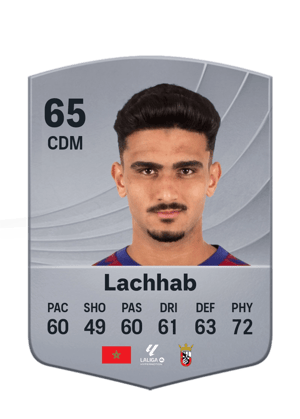 Lachhab - 65 - Common