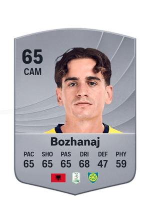 Bozhanaj - 65 - Common