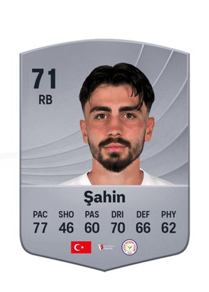 Şahin - 71 - Common