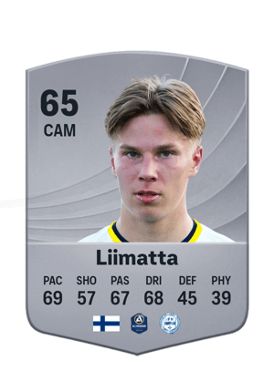 Liimatta - 65 - Common