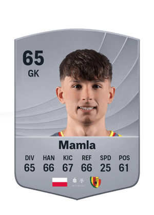 Mamla - 65 - Common