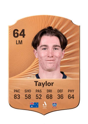 Taylor - 64 - Rare