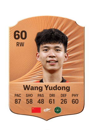 Wang Yudong - 60 - Rare
