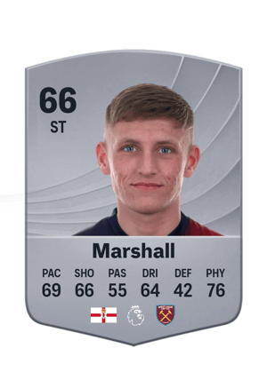 Marshall - 66 - Common