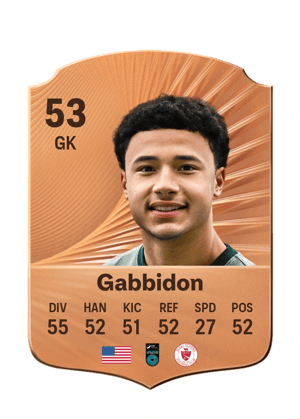 Gabbidon - 53 - Rare
