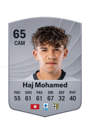 Haj Mohamed - 65 - Common