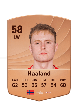 Haaland - 58 - Common