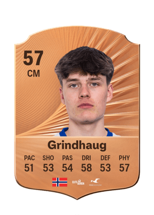 Grindhaug - 57 - Rare