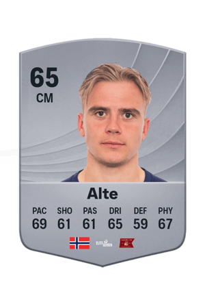 Alte - 65 - Common